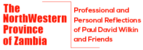 The NorthWestern Province of Zambia: Professional and Personal Reflections of Paul David Wilkin and Friends Logo